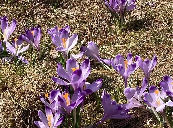 Nauczycielskie Centrum