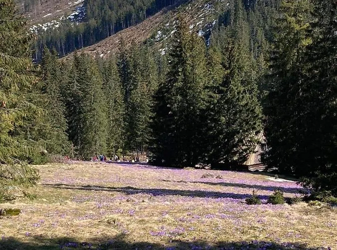 Nauczycielskie Centrum Couette-café Zakopane