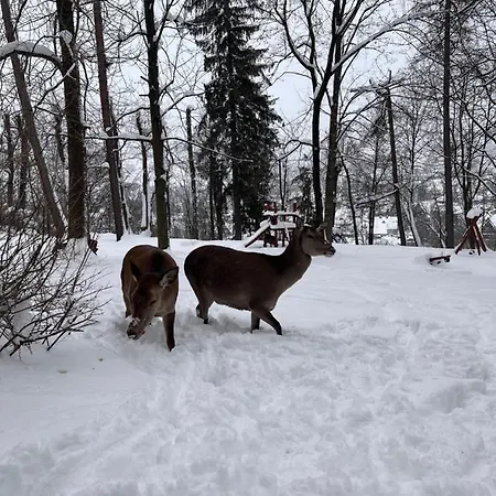 Nauczycielskie Centrum Bed & Breakfast 3*