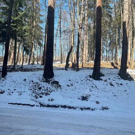Nauczycielskie Centrum 3* Zakopane