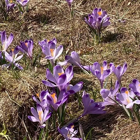 Nauczycielskie Centrum