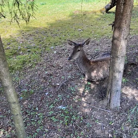 Nauczycielskie Centrum Zakopane