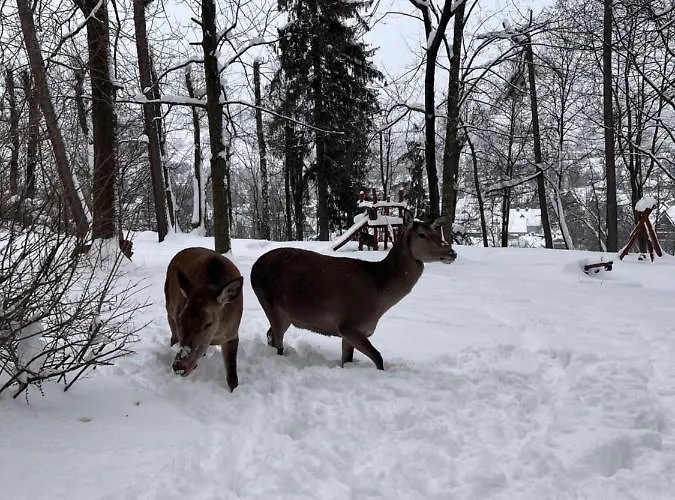 Nauczycielskie Centrum Отель типа 