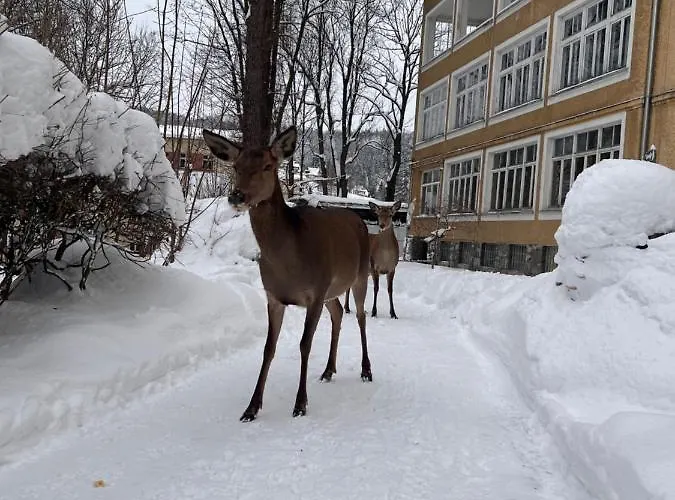 לינה וארוחת בוקר Nauczycielskie Centrum 3*