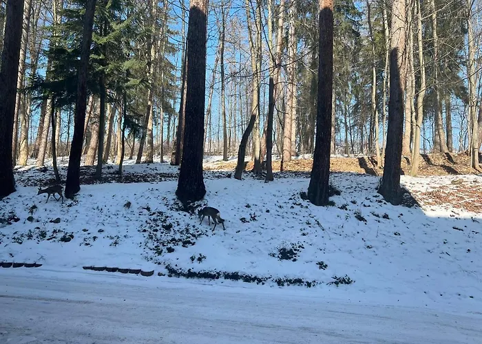 Nauczycielskie Centrum 3* זקופאנה