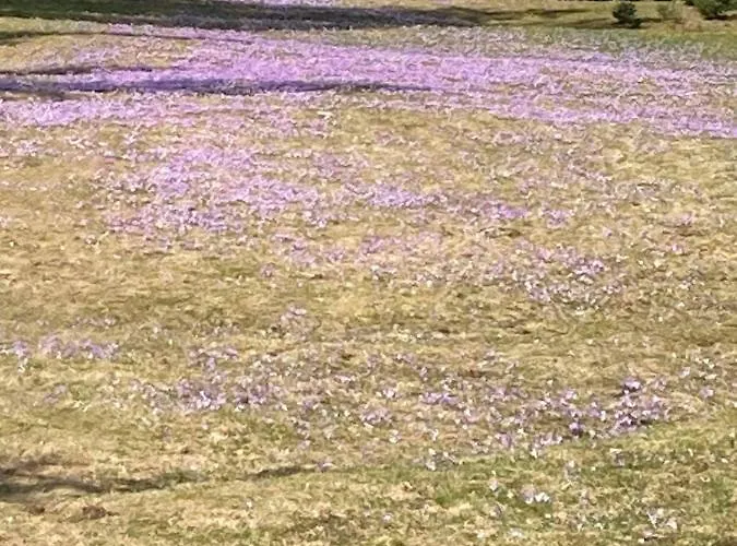 Nauczycielskie Centrum זקופאנה