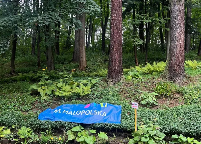 Bed & Breakfast Nauczycielskie Centrum 3*